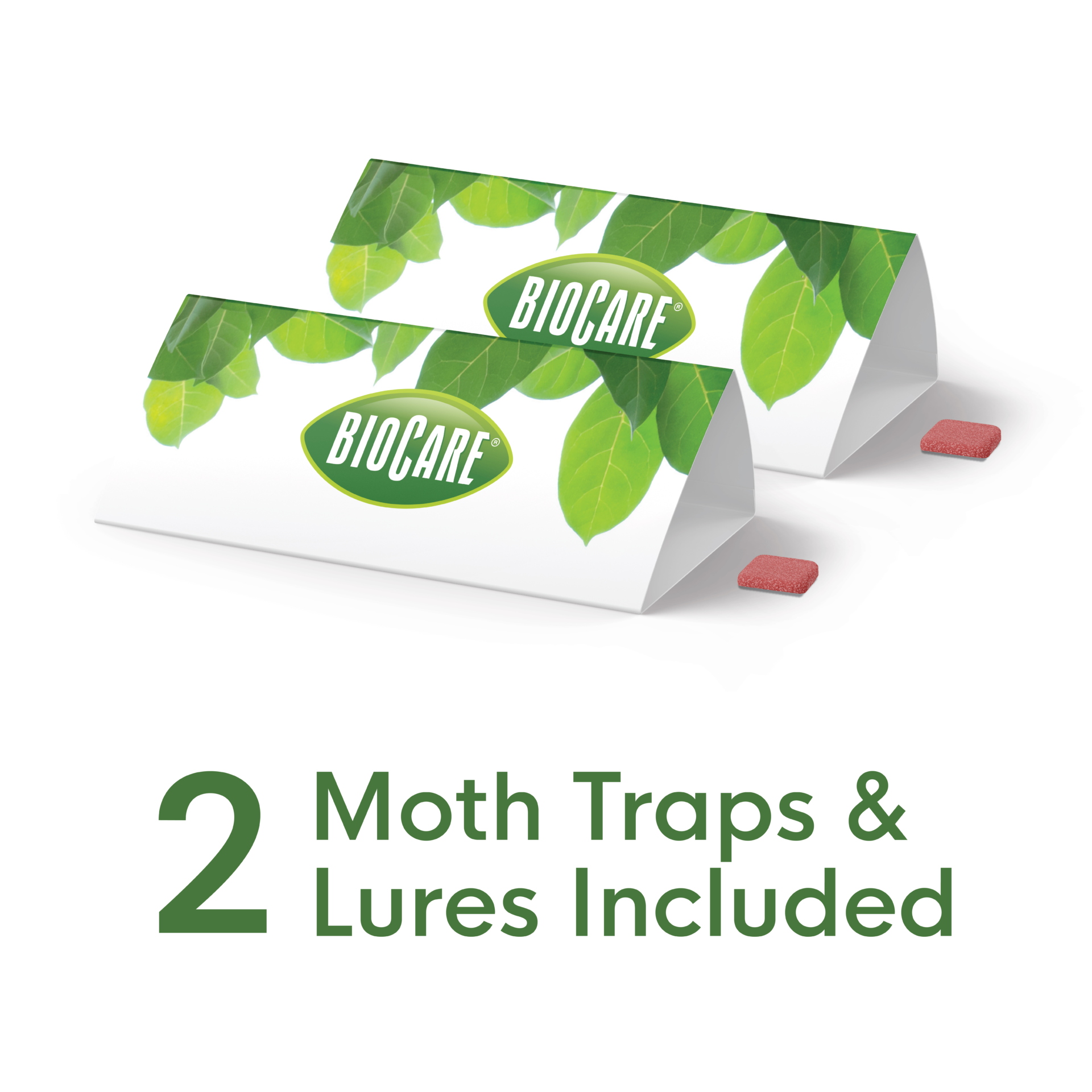 Enoz BioCare Birdseed and Pantry Moth Trap - 2 Traps with Pheromone Lures  (Pack of 6) - Attracts and Kills Pantry and Birdseed Moths - Lure and  Sticky