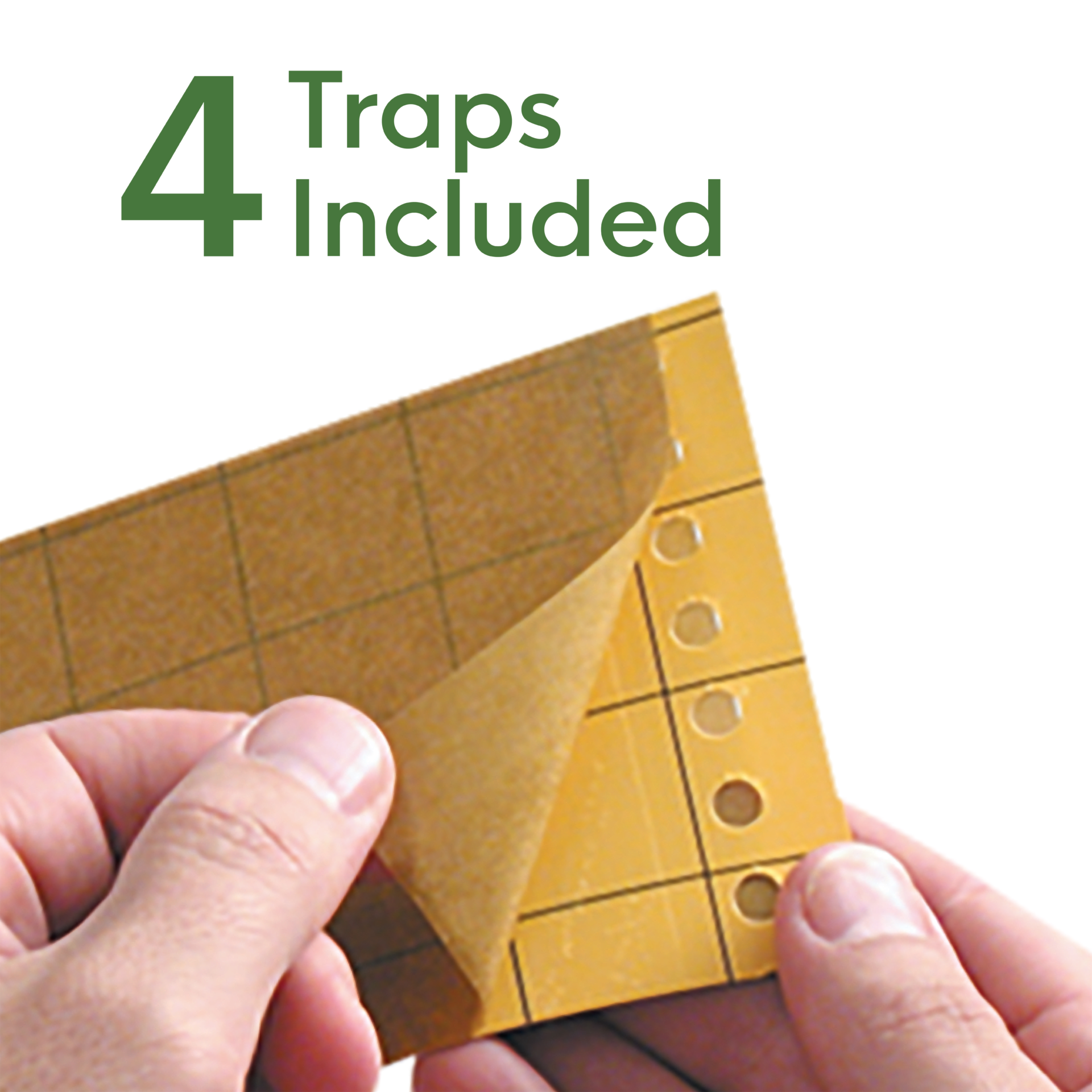 BioCare® Window Fly Trap - 1 pk of 4 traps